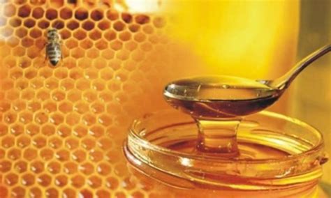 Honey as Medicine: Exploring its Timeless Role in Traditional Healing Practices